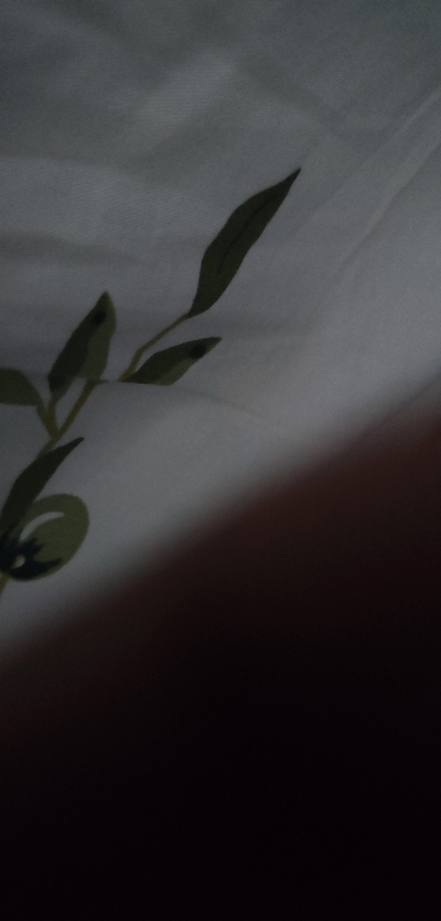 今世缘 国缘对开 柔雅型 42度 500ml *6瓶 整箱装 苏宁自营晒单图