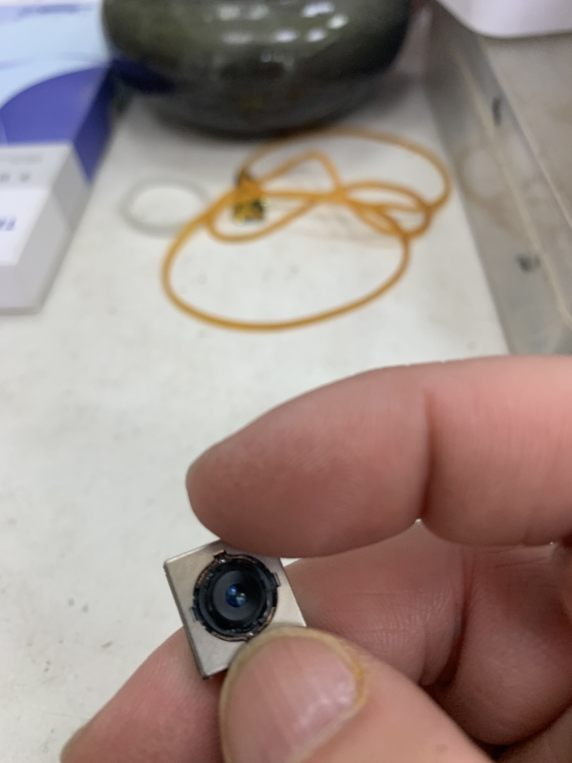 [二手95成新]Apple 苹果 XR/iPhone XR 红色128GB 全网通6.1英寸屏双卡拍照娱乐4G国行手机晒单图