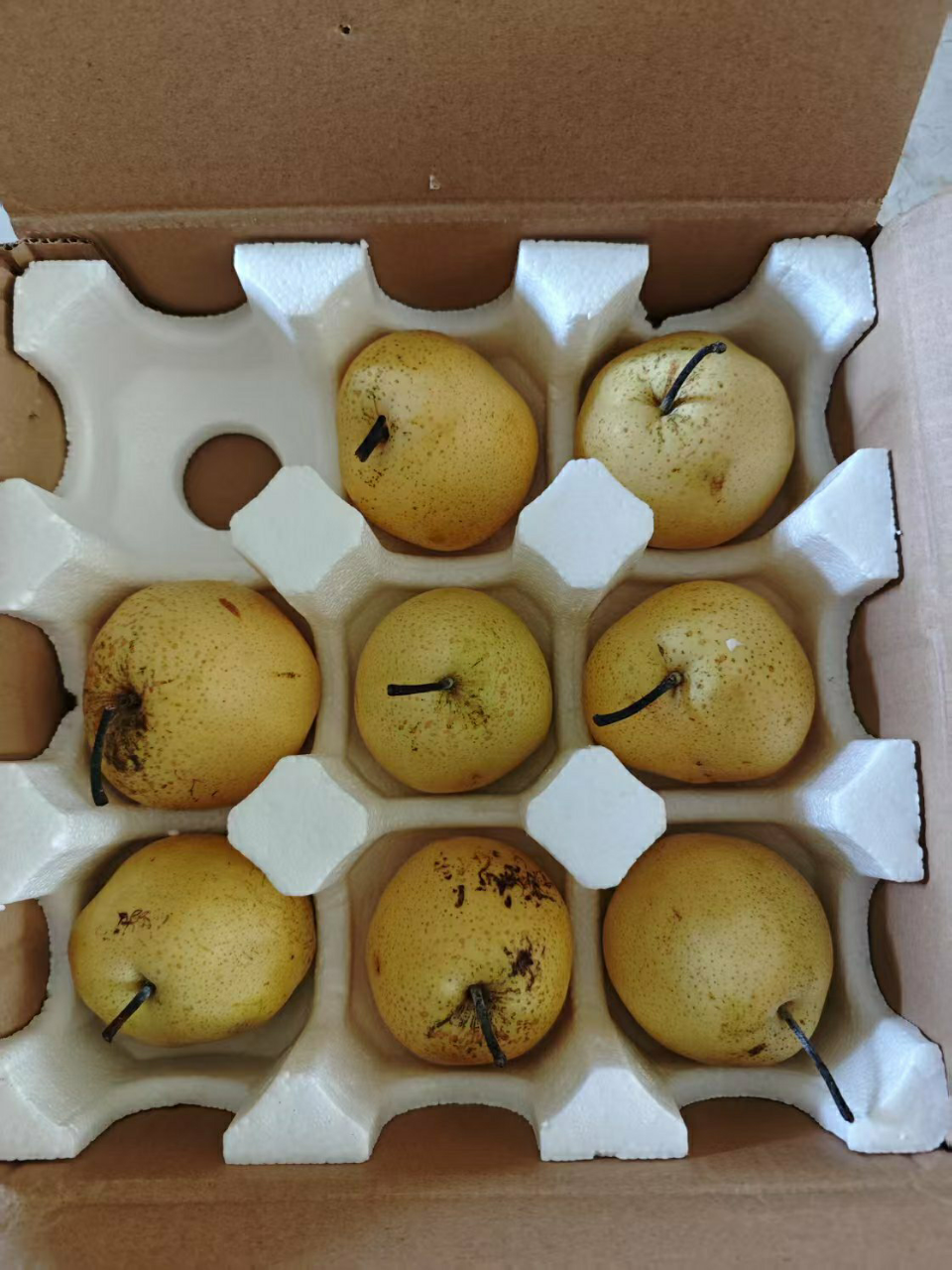 [西沛生鲜]河北精品雪花梨 新鲜水果 松脆多汁 净重4.7-5.2斤 单果300g以上 西沛生鲜晒单图