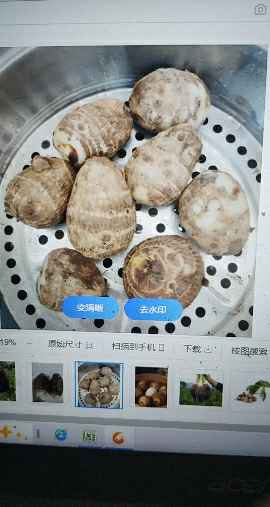 [西沛生鲜]云南牛奶芋头新鲜小芋头 净重3斤 中果 单果30-50g 毛芋仔非广西荔浦芋头蔬菜红芽香芋头晒单图