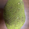 [西沛生鲜]海南黄肉菠萝蜜 新鲜水果 香甜可口 1个 净重15-20斤装 西沛水果晒单图