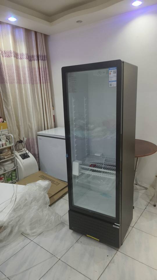 星星(XINGX)LSC-310YPE 299升 立式冰柜 保鲜柜 饮料柜 商用冷藏展示柜 商店超市便利店晒单图