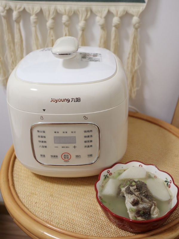 九阳(Joyoung)电压力锅电压力煲小型家用高压锅一键排气煮饭电饭煲多功能菜单 Y-30H25晒单图