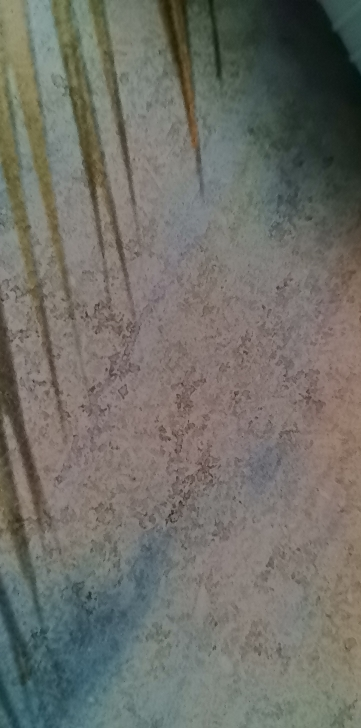 AJI酵母减盐味苏打饼干472g*3包梳打早餐饼干休闲食品零食晒单图