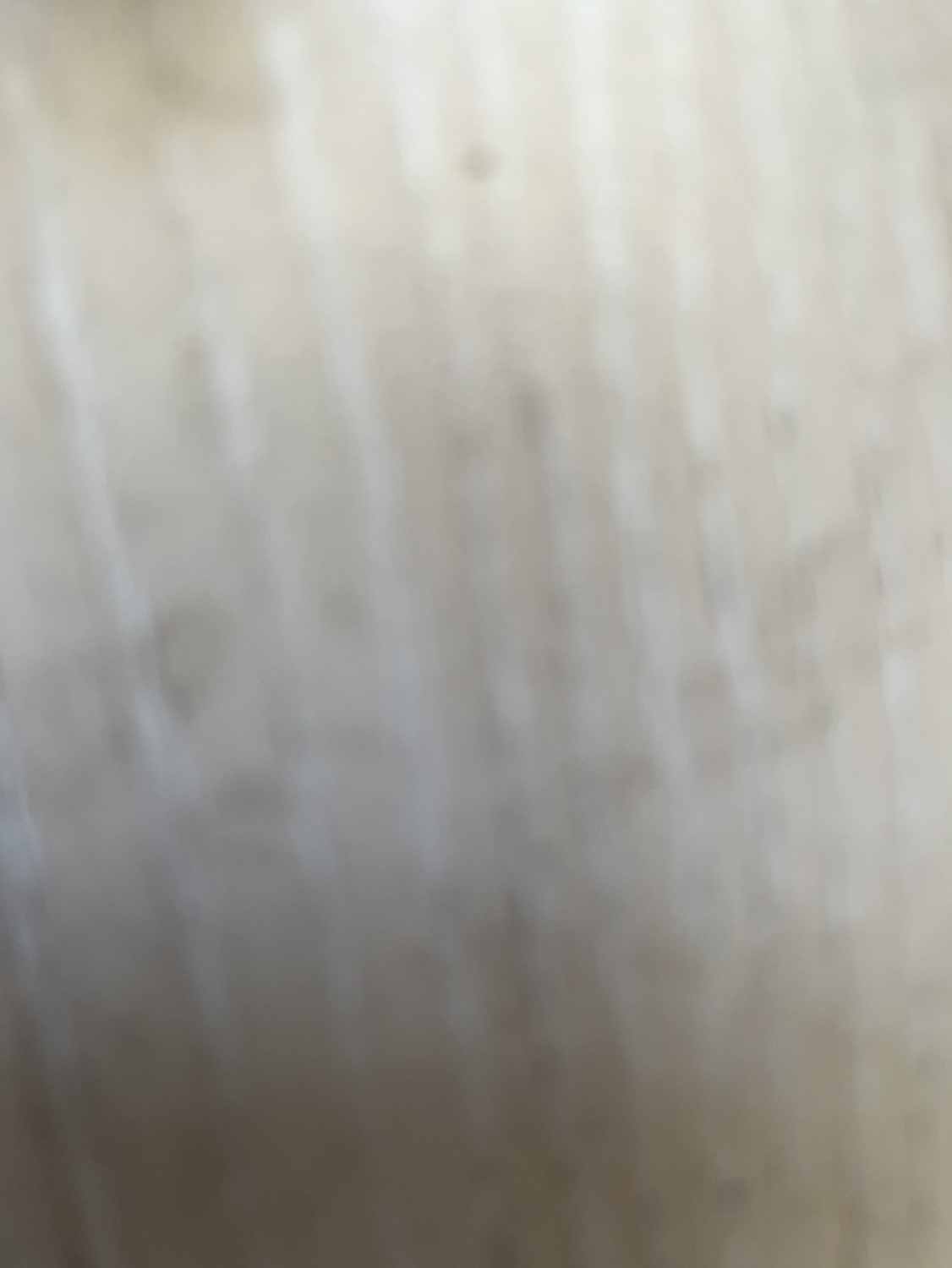 2025新茶上市狮峰牌绿茶特级龙井茶叶杭州明前龙井43号正宗春茶罐装50g晒单图