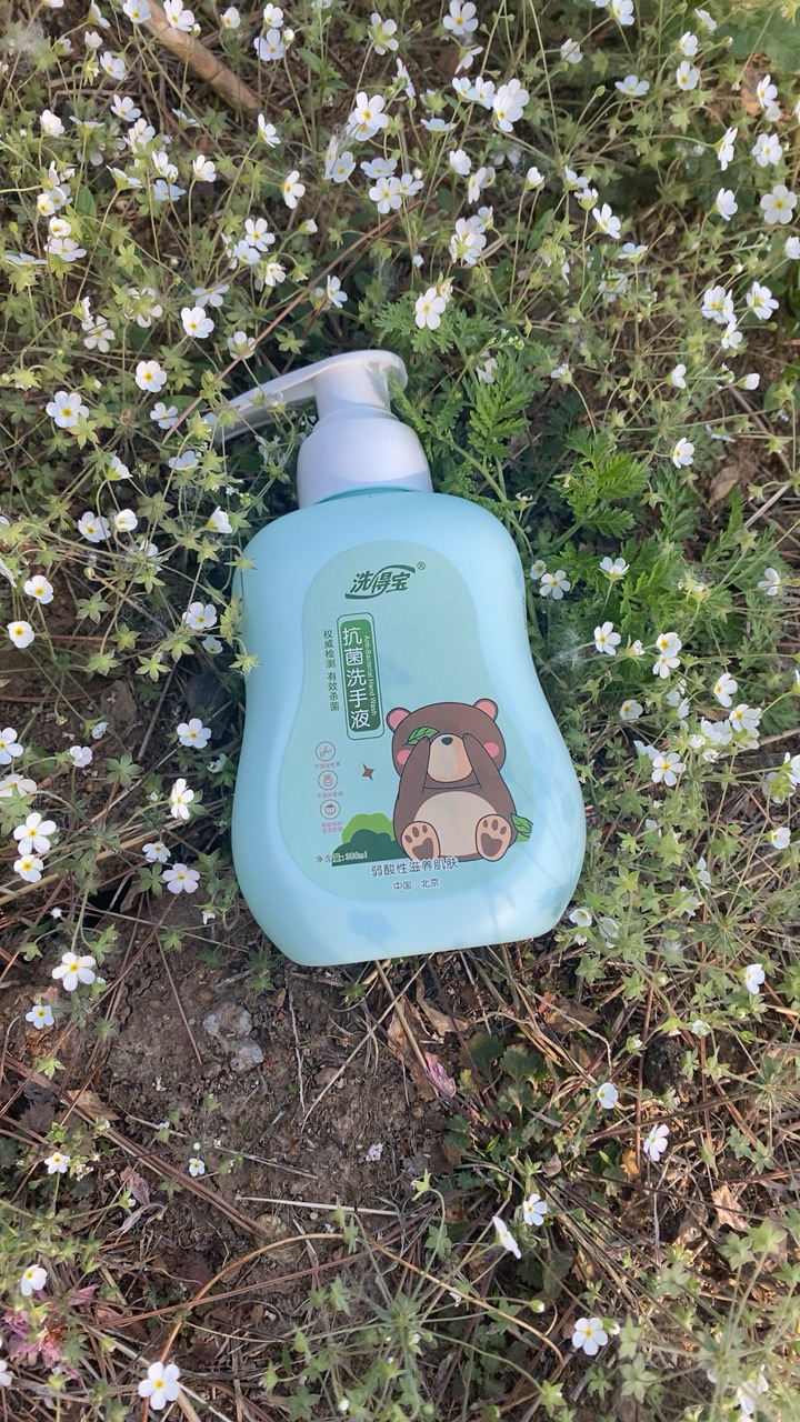 洗得宝儿童抗菌洗手液380ml护肤保湿杀菌儿童洗手液不含香精不含色素晒单图