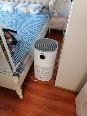 诺森柏格(Nocenbeger)空气净化器高效分解除甲醛细菌家用新房除异味pm2.5负离子净化器G6Plus晒单图