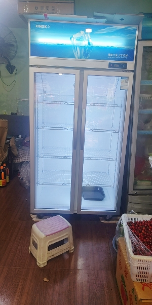 星星(XINGX)LSC-518Y 530升大容量双门冷藏展示柜 商用冰箱保鲜冷藏冰柜 玻璃门立式饮料柜晒单图