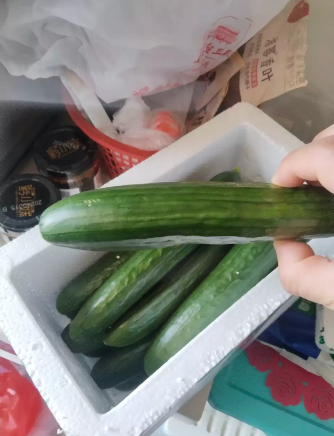 [西沛生鲜]水果黄瓜寿光蔬菜生吃脆新鲜 净重3斤 青瓜荷兰当季无刺小黄瓜现摘晒单图