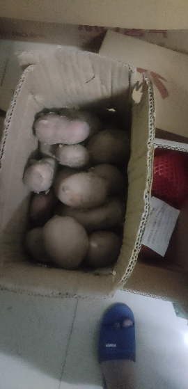 [西沛生鲜]新鲜云南红皮小土豆 大果 净重4.5斤装 大果 单果100-200g 新鲜蔬菜 农家种植 西沛晒单图