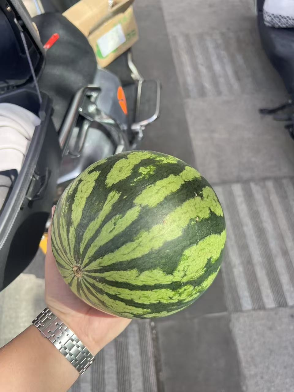 [熊猫鸟]云南 新鲜麒麟西瓜 1个 3-4斤 新鲜水果 汁多肉甜 熊猫鸟晒单图