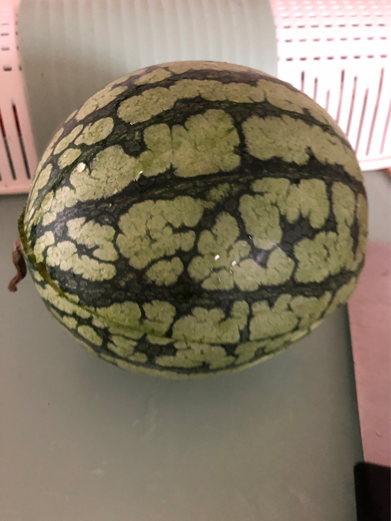 [熊猫鸟]云南 新鲜麒麟西瓜 1个 5-6斤 新鲜水果 汁多肉甜 熊猫鸟晒单图
