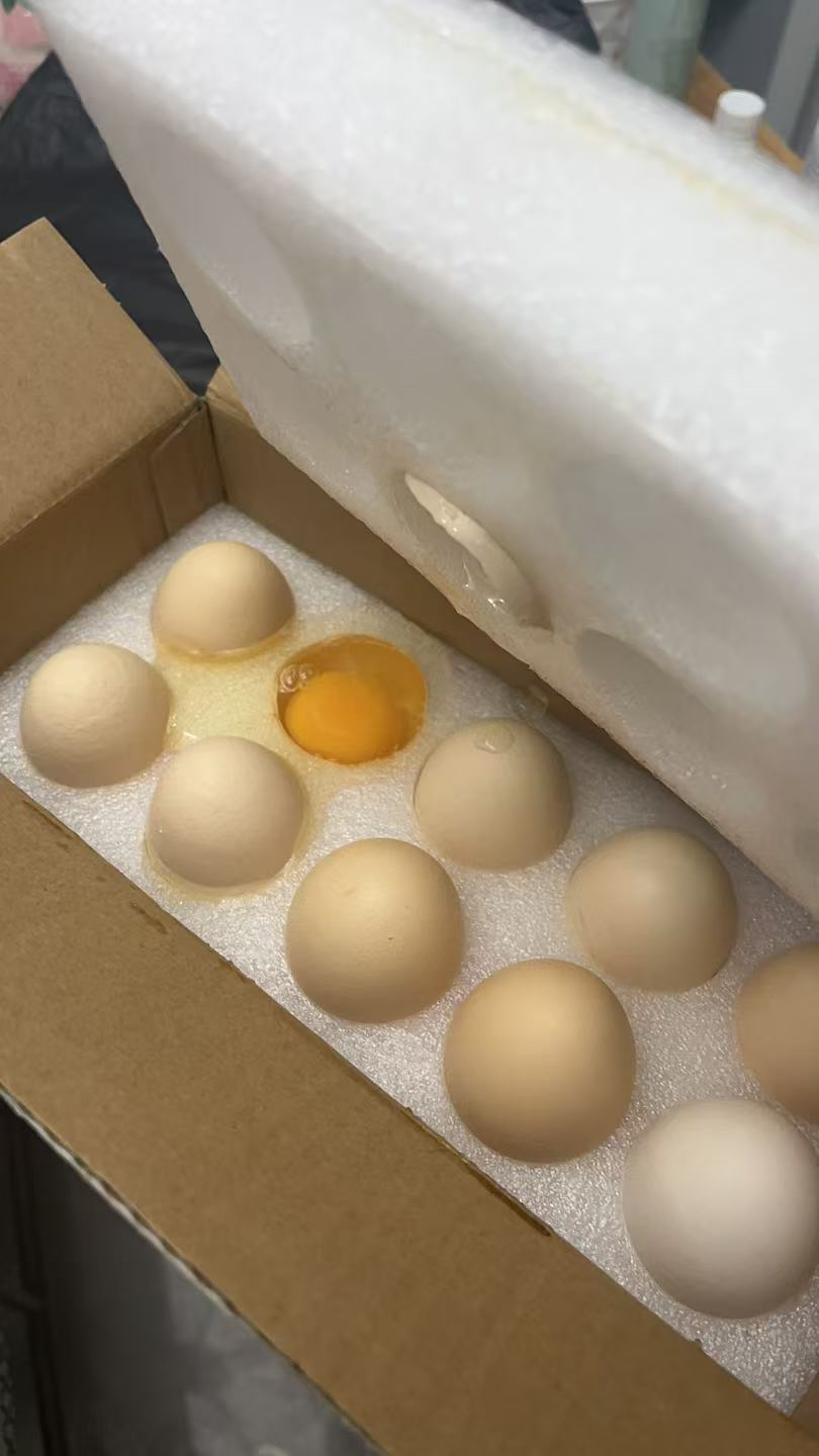 苗佳新可生食蛋绿色无抗鲜鸡蛋无菌蛋30枚/1500g晒单图