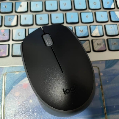 罗技(Logitech)M171 usb无线鼠标电池笔记本电脑台式办公鼠标光电对称鼠标带2.4G接收器 黑色晒单图