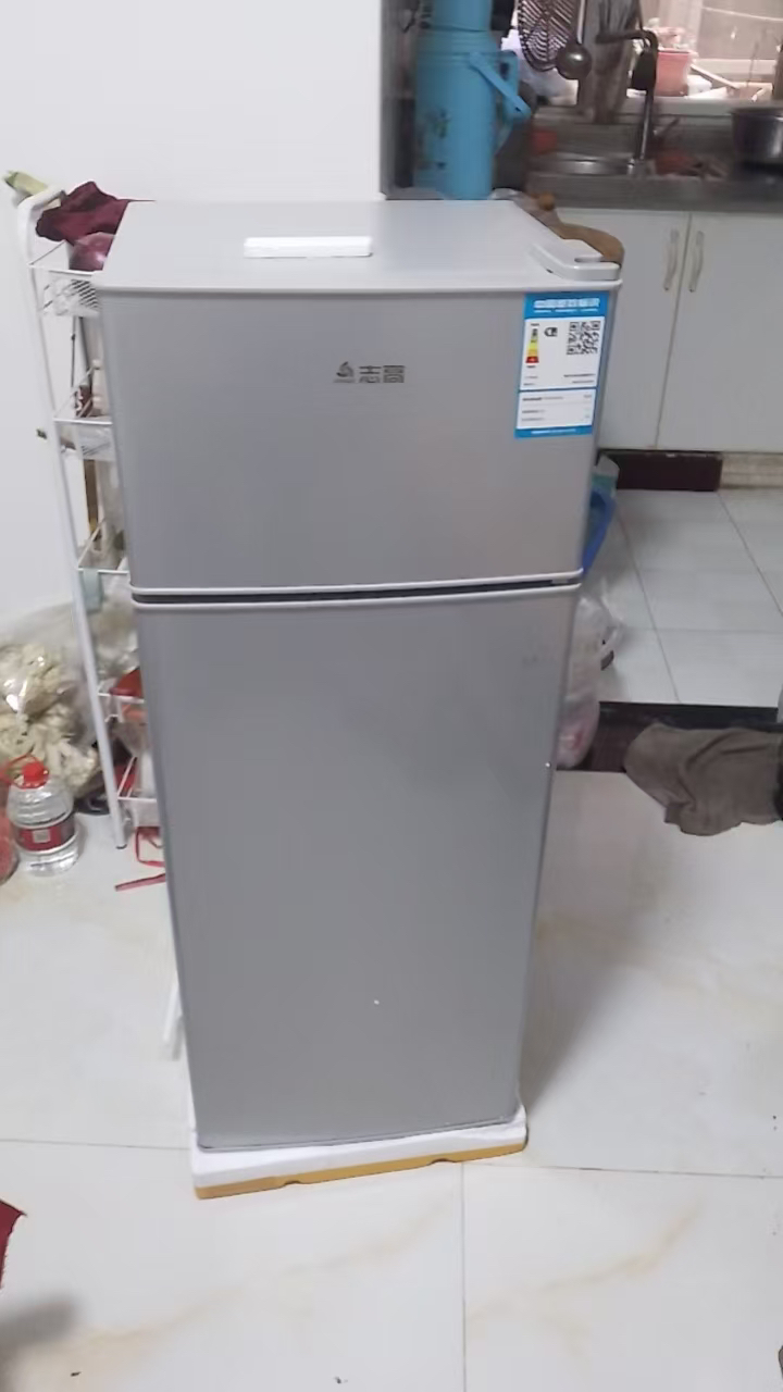 志高(CHIGO)BCD-99A189L 小型双门迷你小冰箱 家用双开门电冰箱 节能两门冰箱小闪亮银直冷晒单图