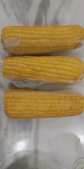 十月稻田黄糯玉米1.76kg[220g*8根]东北玉米棒甜糯低脂新鲜真空装早餐苞米3.52斤晒单图