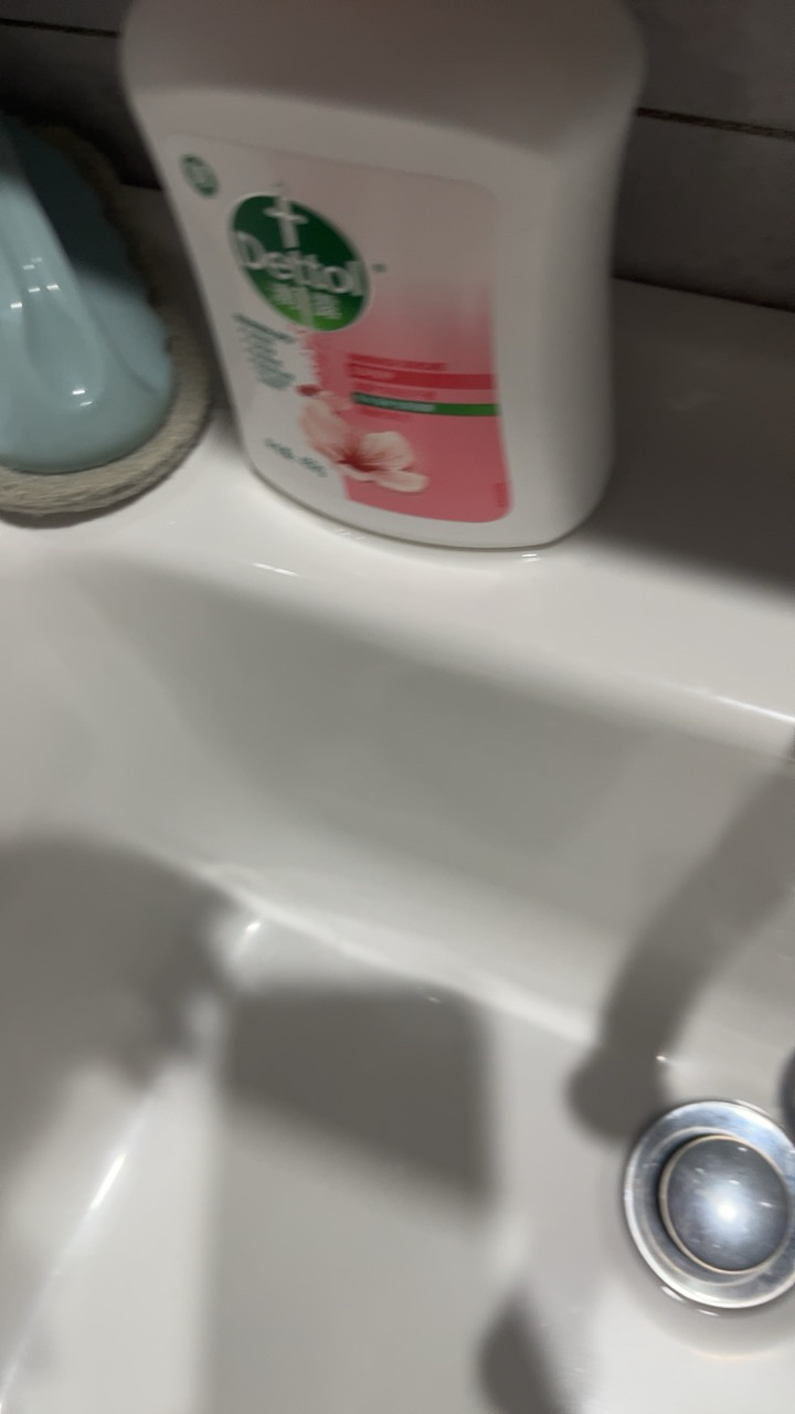 滴露健康抑菌洗手液滋润倍护450g+经典松木450g晒单图