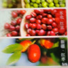 元气森林自在水500ml*12瓶整箱红豆薏米水轻泡煮无糖植物饮料晒单图