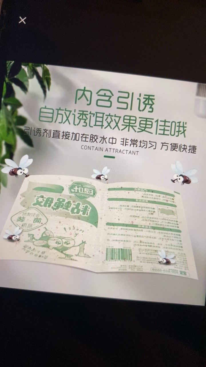 绿叶粘蝇胶(50张) 粘蝇纸苍蝇贴强力杀灭蝇粘虫板家用室内灭蝇药捕蝇神简装器粘蚊虫晒单图