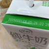 [8月生产][伊利纯牛奶24盒]伊利纯牛奶24盒*200ml*2箱 品牌直营 早餐营养牛奶晒单图