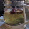 小熊(bear)养生壶办公室1.5L容量迷你小型煮茶壶全自动加厚玻璃煮茶器YSH-D15Y1晒单图
