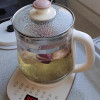 小熊(bear)养生壶办公室1.5L容量迷你小型煮茶壶全自动加厚玻璃煮茶器YSH-D15Y1晒单图