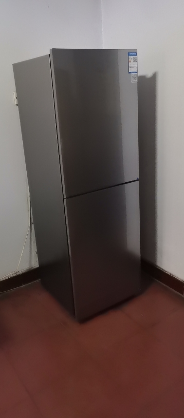 法迪欧冰箱BCD-235WBDGS,风冷无霜两门、多模式运行、电子温控、2档变温、大冷冻100L晒单图