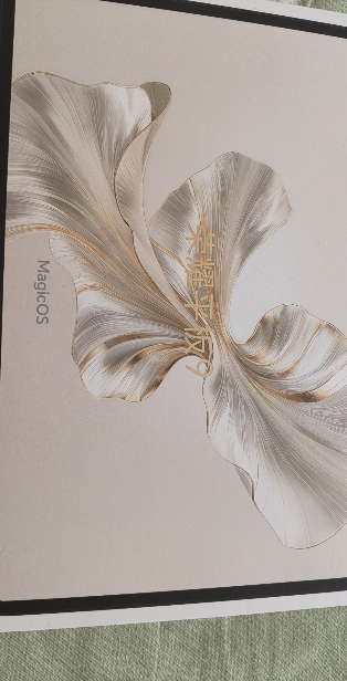 HONOR/荣耀平板9 12.1英寸护眼全面屏pad商务办公影音娱乐教育学习平板电脑12+256GB[WIFI版]沐光白晒单图