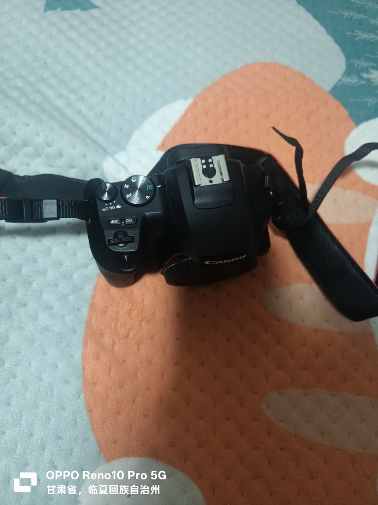佳能(Canon)EOS 200D II数码单反相机 18-55 STM单镜头套装 2410万像素 200D二代 海外版晒单图