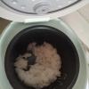 小熊(Bear)电饭煲1-2人迷你小容量电饭锅 家用小型 1.2升全自动多功能保温宿舍一人煮饭锅 DFB-B12L5晒单图