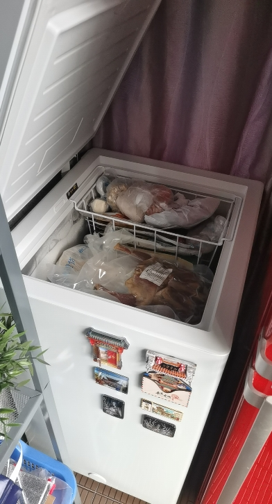 海尔(Haier)100升 家用卧式冰柜 冷柜 小冰箱 减霜80% 一级能效 断电保护 带脚轮BC/BD-100GHDT晒单图