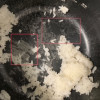 飞利浦(PHILIPS) 电饭煲 家用多功能电饭锅煮饭锅煮粥锅适用人数 2-6人电饭锅3L容量HD3169/80晒单图