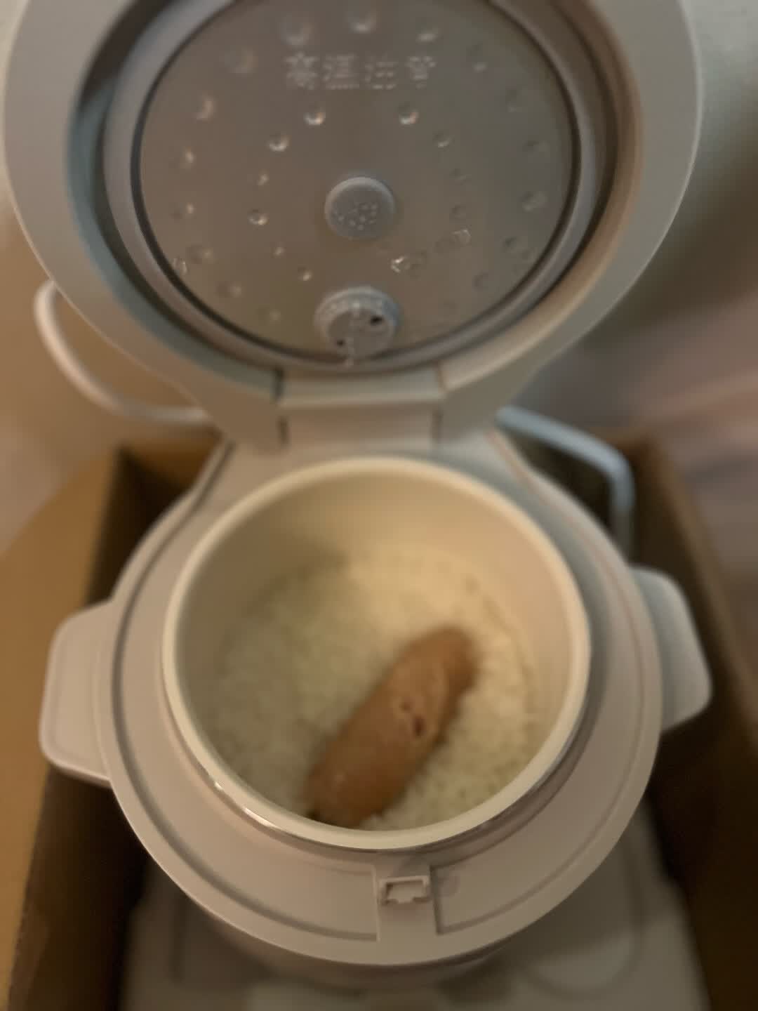 小熊(Bear)电饭煲 小型家用迷你1.2L小容量 1-2人电饭锅 便携多功能宿舍旅行蒸煮煲汤微压 DFB-S12C2晒单图