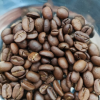 SGL COFFEE极乐鸟系列咖啡豆454g[2024.11起生产] 阿拉比卡豆 中度烘焙 临期清仓晒单图