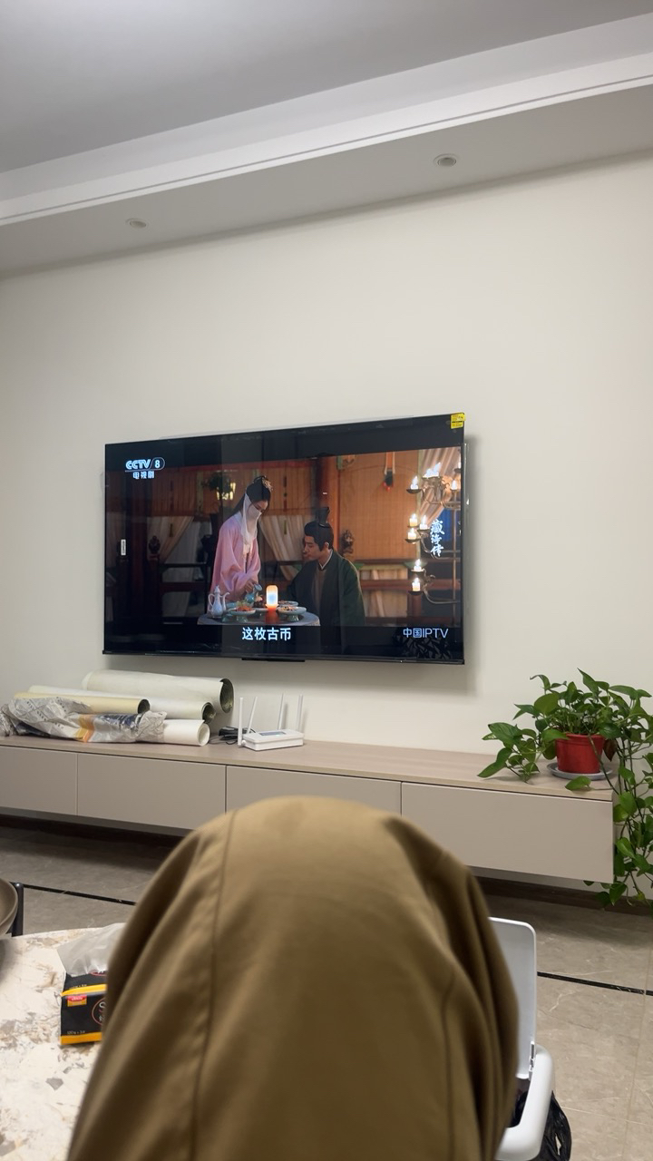 海信电视65E3Q 65英寸 高刷AI音画王 以旧换新补贴 E3N升级电视机晒单图