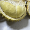 [熊猫鸟]泰国新鲜金枕榴莲 进口榴莲 1个装 4-5斤(包3房以上) 软糯香甜 新鲜水果晒单图