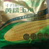 十月稻田黄糯玉米1.76kg[220g*8根]东北玉米棒甜糯低脂新鲜真空装早餐苞米3.52斤晒单图