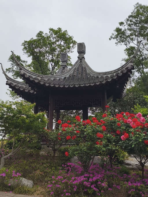 汾都香优质精选圆糯米500g*5袋白糯米小糯米晒单图