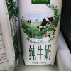 [6月生产]伊利金典纯牛奶250ml*16盒*1箱 3.6g乳蛋白 早餐伴侣晒单图
