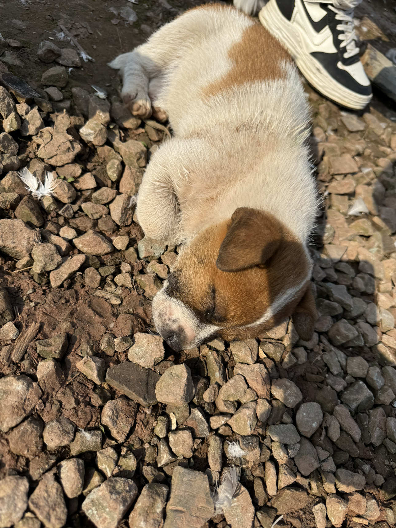 欧莱雅(LOREAL)男士控油炭爽抗黑头洁面膏100ml去角质深层清洁收缩毛孔保湿补水油性肤质洗面奶洁面乳晒单图