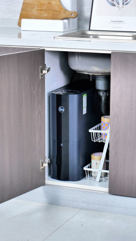 Rheem瑞美 弱碱性净水器1200G大通量家用厨下式母婴直饮净水机RO反渗透过滤 RMJS-25RO-1200G晒单图