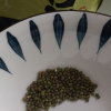 汾都香5斤东北农家新绿豆五谷杂粮精品笨小绿豆发芽打豆浆绿豆汤晒单图