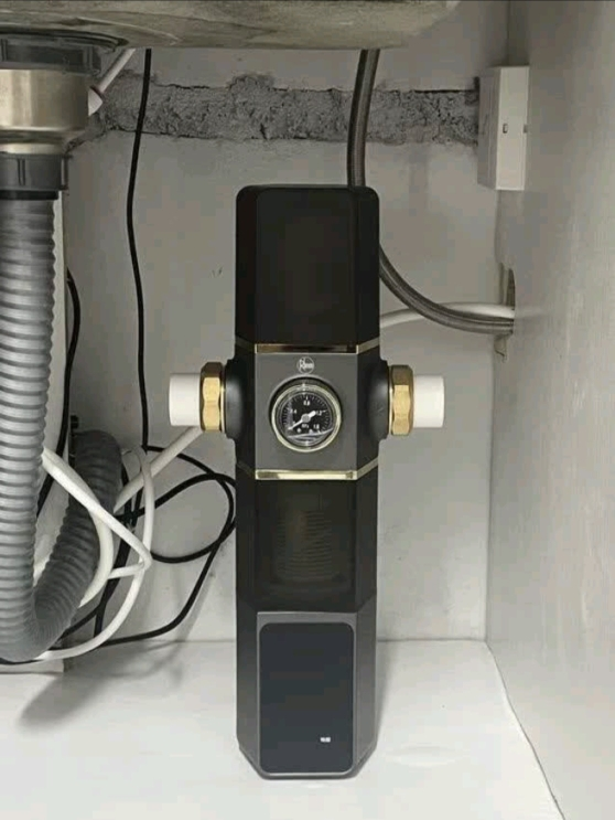 Rheem瑞美前置过滤器8.6T大通量40微米双芯过滤家用反冲洗自来水净水器自动清洗全息触屏智控 RMQZ-25F-A1晒单图