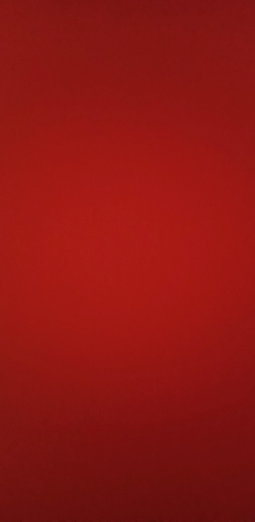 力士香皂官方正品牌家庭实惠装男女士沐浴香氛洗手肥皂-盈润焕采100g*3块晒单图