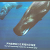 [全自动对焦+智能避障]轰天炮投影仪家用4K超高清1080P微型小型投影仪手机便携儿童智能轟天砲投影机家庭影院卧室投墙上晒单图