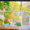TCL电视 43V8L 43英寸 2GB+32GB大内存 护眼 AI语音 投屏 电视晒单图