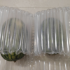 顺丰快递[苏鲜生]现摘2k西瓜 净重5-5.5斤 2个装 新鲜网红小糖丸西瓜晒单图