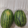 顺丰快递[苏鲜生]现摘2k西瓜 净重5-5.5斤 2个装 新鲜网红小糖丸西瓜晒单图