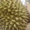 顺丰快递[苏鲜生]泰国新鲜金枕榴莲 进口榴莲 1个装 4-5斤 软糯香甜 新鲜水果晒单图