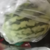 顺丰快递[苏鲜生]现摘2k西瓜 净重5-5.5斤 2个装 新鲜网红小糖丸西瓜晒单图